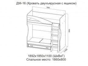 ДМ-16 Кровать двухъярусная с ящиком в Гремячинске - gremyachinsk.magazin-mebel74.ru | фото