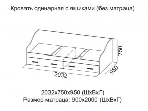 Кровать одинарная с ящиками (Без матраца 0,9*2,0) в Гремячинске - gremyachinsk.magazin-mebel74.ru | фото