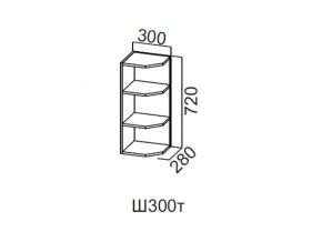 Ш300т/720 Шкаф навесной 300/720 (торцевой) в Гремячинске - gremyachinsk.magazin-mebel74.ru | фото